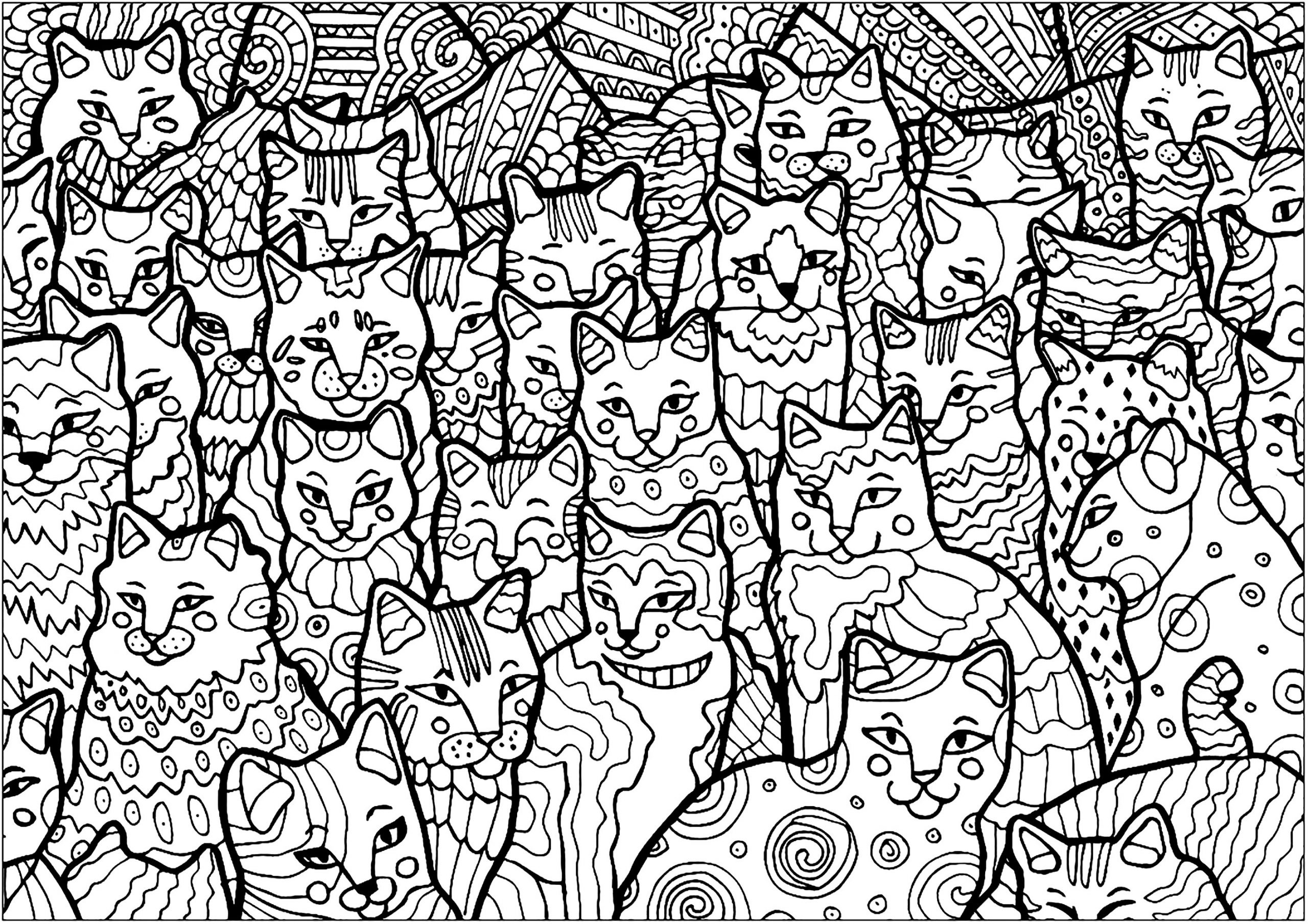 Coloriage Plein De Chats - Chats - Coloriages Difficiles avec Coloriage Chat,