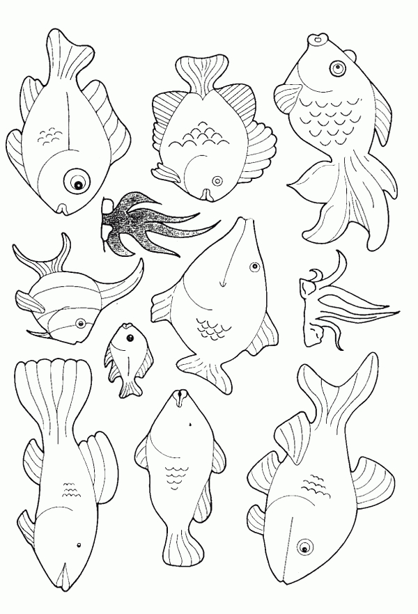 Coloriage Poissons 53 avec Coloriage Poisson