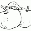 Coloriage Pomme 03 - Coloriage En Ligne Gratuit Pour Enfant avec Coloriage Pomme