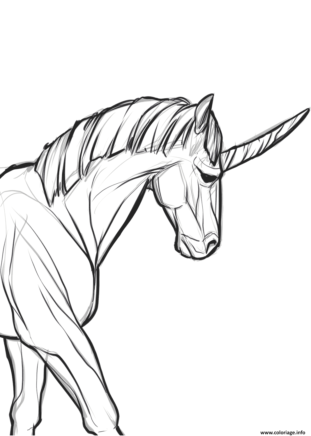 Coloriage Realistic Real Licorne Dessin Licorne À Imprimer intérieur Coloriage Licorne Dessin A Imprimer Gratuit
