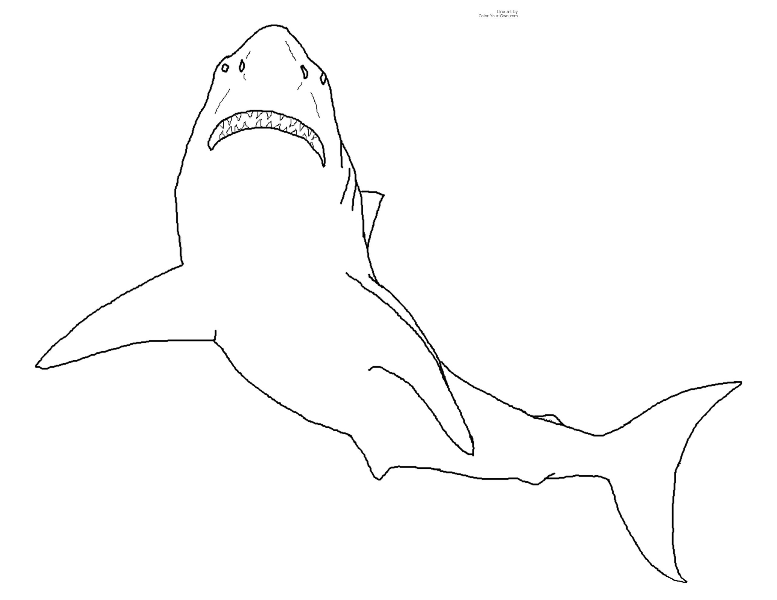 Coloriage Requin À Imprimer Pour Les Enfants - Cp22969 dedans Coloriage Dessin Requin