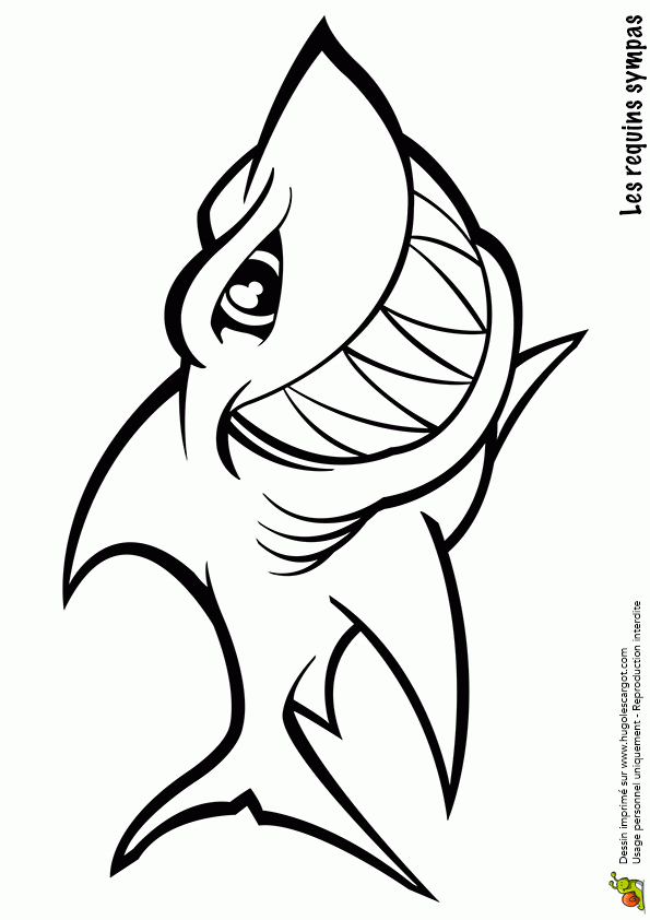 Coloriage Requin Carnivore Sur Hugolescargot tout Coloriage Dessin Requin