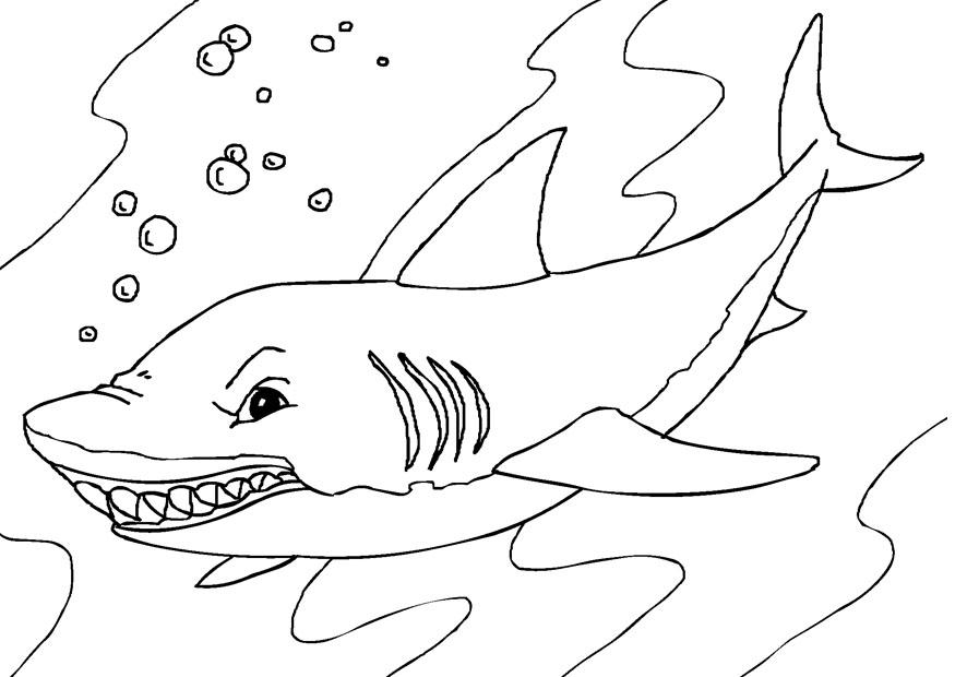 Coloriage Requin - Coloriages Gratuits À Imprimer - Dessin dedans Coloriage Requin