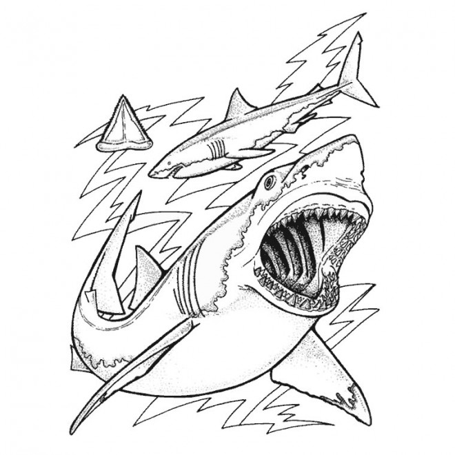 Coloriage Requin Gratuit À Imprimer encequiconcerne Coloriage H2O Dessin Animé À Imprimer