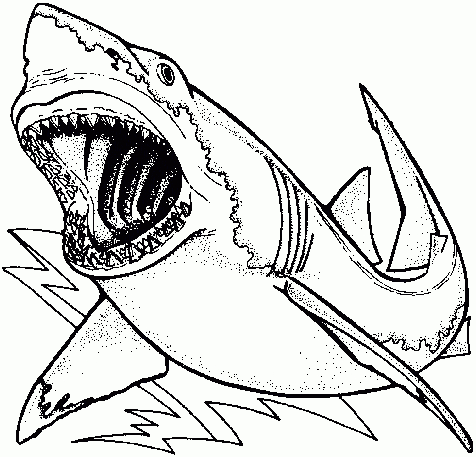 Coloriage Requin Gratuit Imprimer 1001 Animaux Dessin encequiconcerne Coloriage Dessin Requin