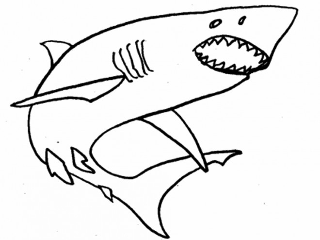 Coloriage Requin Simple Dessin Gratuit À Imprimer serapportantà Coloriage Dessin Requin