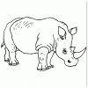 Coloriage Rhinoceros Sur Hugolescargot tout Coloriage Realiste,