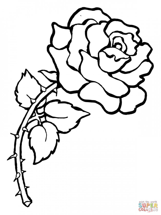 Coloriage Rose Adulte Dessin Gratuit À Imprimer destiné Coloriage Dessin Rose