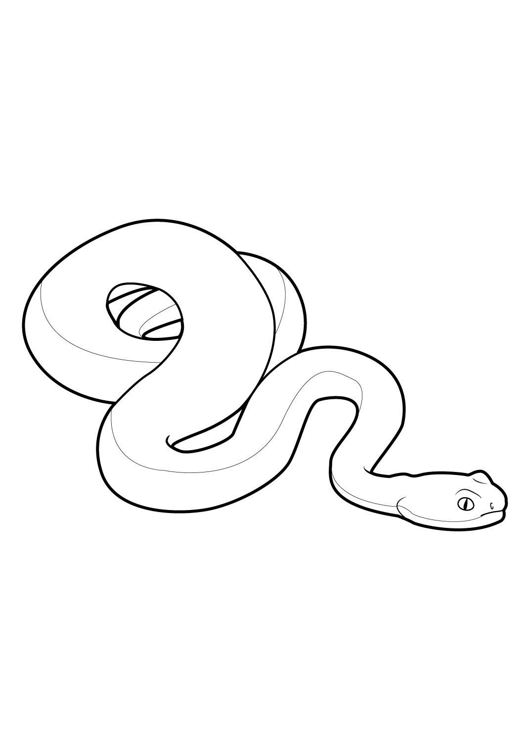 Coloriage Serpent 4 - Coloriage Serpents - Coloriages Animaux destiné Serpent S Dessin