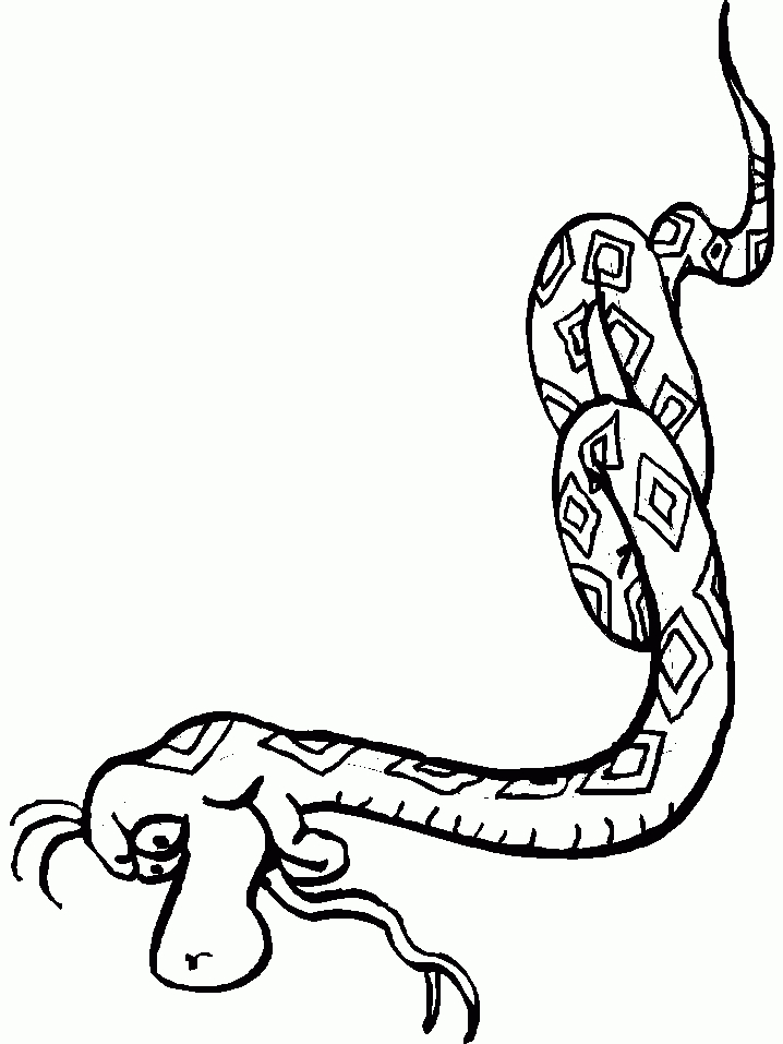 Coloriage Serpents 36 encequiconcerne Coloriage Serpent