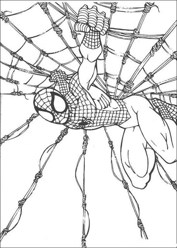 Coloriage Spider-Man Sur Sa Toile | Momes concernant Dessin 3 Spiderman,