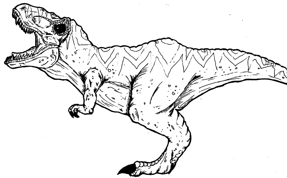 Coloriage T-Rex À Imprimer - Maison Bonte : Votre Guide encequiconcerne T Rex Dessin Animé,