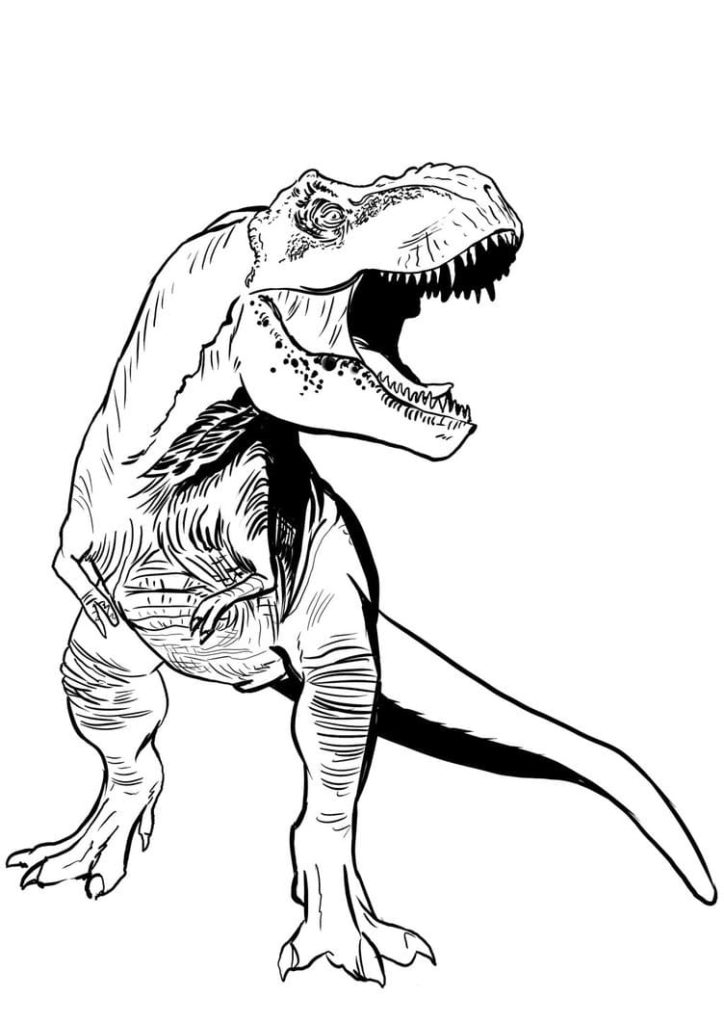 Coloriage T-Rex À Imprimer Sur Wonder-Day destiné T Rex Dessin Animé,