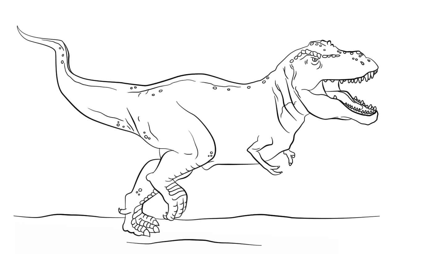 Coloriage T-Rex À Imprimer Sur Wonder-Day pour Dessin T,