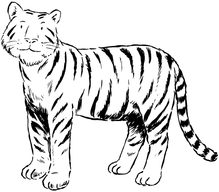 Coloriage Tigre #13621 (Animaux) - Album De Coloriages serapportantà Coloriage Tigre,