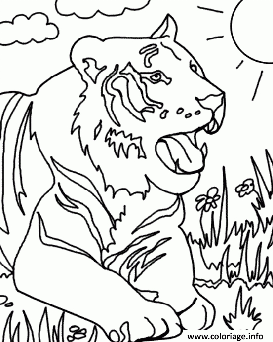 Coloriage Tigre Dans L Herbe Dessin Tigre À Imprimer destiné Coloriage Dessin Herbe