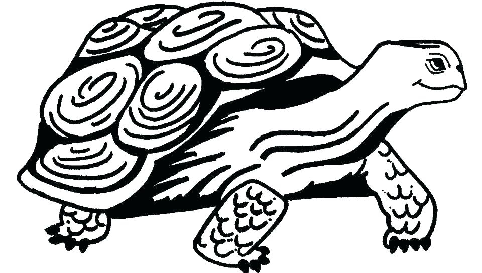 Coloriage Tortue Gratuit À Imprimer Et Colorier pour Coloriage Tortue