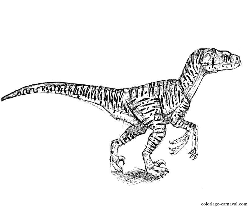 Coloriage Trex Jurassic Park Dinosaure Dessin Gratuit pour Coloriage Jurassic Park