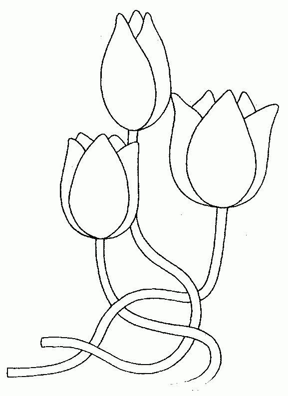 Coloriage Tulipe 16 - Coloriage En Ligne Gratuit Pour Enfant à Une Coloriage,