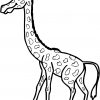Coloriage Une Grande Girafe Dessin Girafe À Imprimer serapportantà Coloriage Girafe