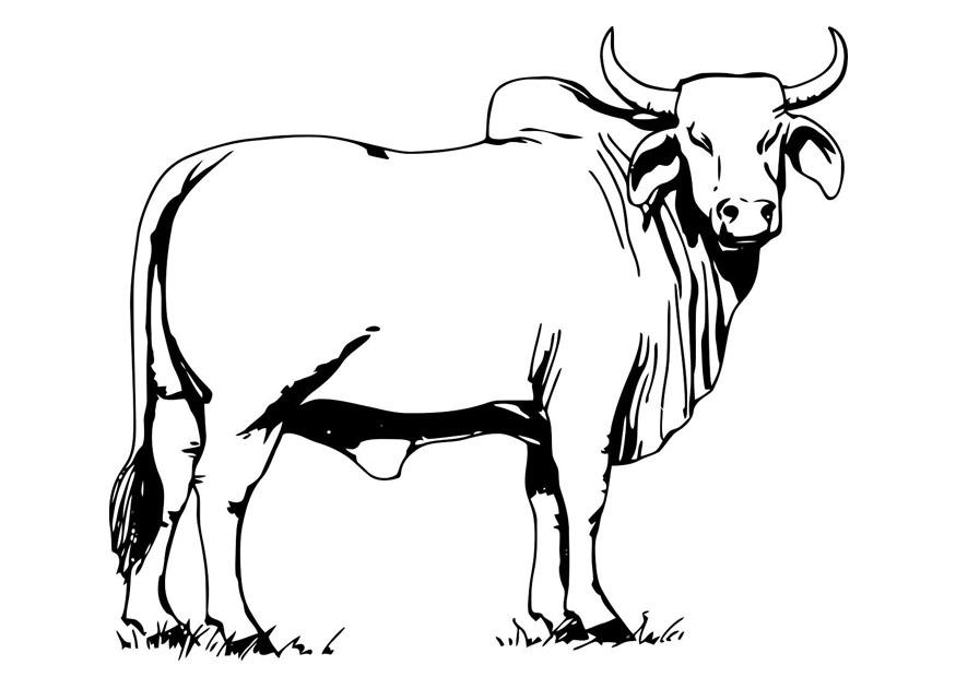 Coloriage Vache #13260 (Animaux) - Album De Coloriages avec Coloriage Vache