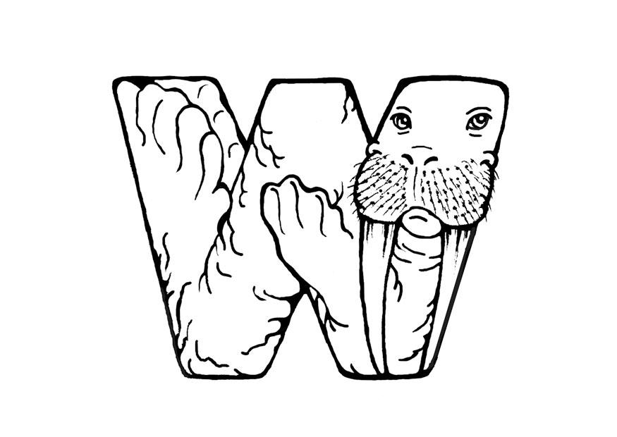 Coloriage W-Walrus - Coloriages Gratuits À Imprimer concernant W Dessin