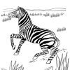 Coloriage Zèbre #13053 (Animaux) - Album De Coloriages concernant Coloriage Zebre