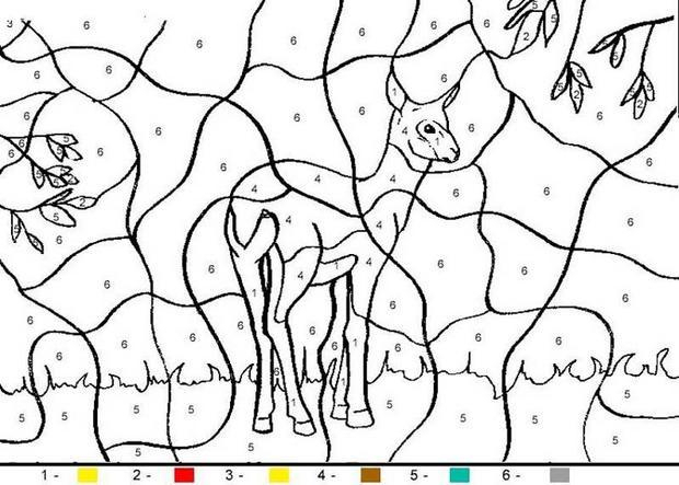 Coloriages 6 Ans - Fr.hellokids pour Dessin 5 Ans Facile,