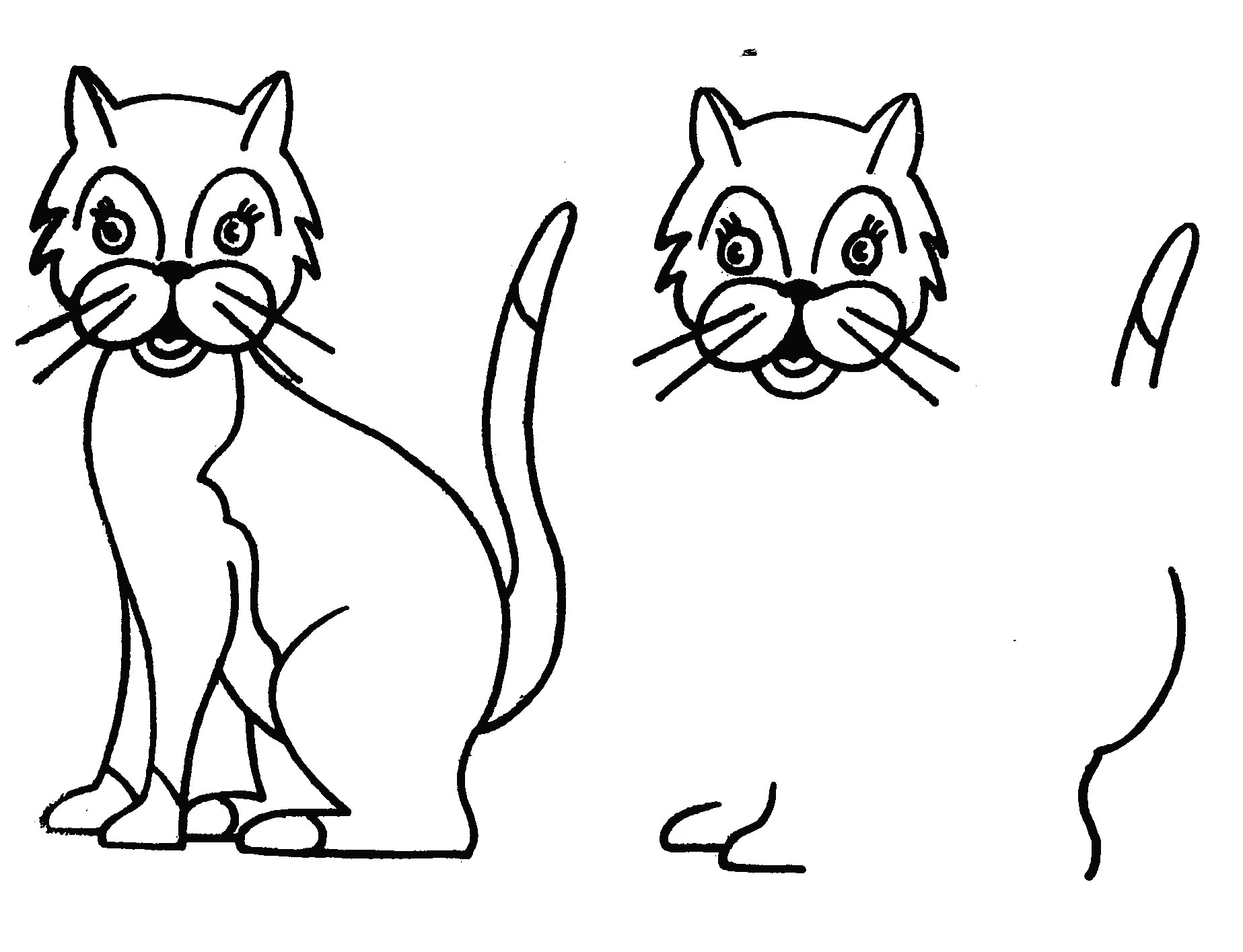 Coloriages À Imprimer : Chat, Numéro : 5560 à Coloriage Chat