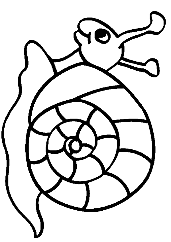 Coloriages À Imprimer : Escargot, Numéro : 613614 serapportantà Dessin Escargot