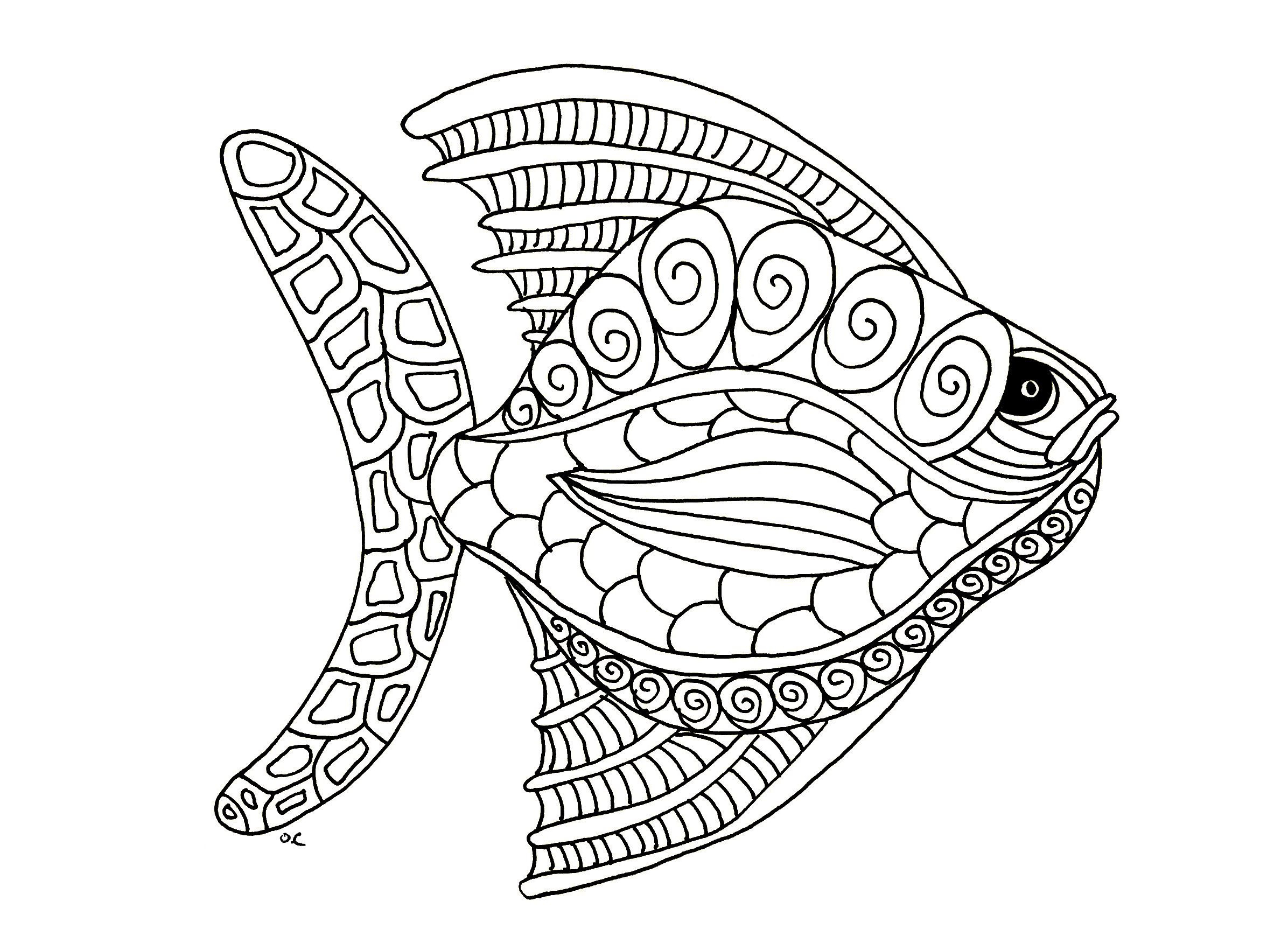 Coloriages À Imprimer : Poisson, Numéro : E735439F intérieur Coloriage Poisson