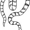 Coloriages À Imprimer : Serpent, Numéro : 256796 pour Coloriage Magique Lezard