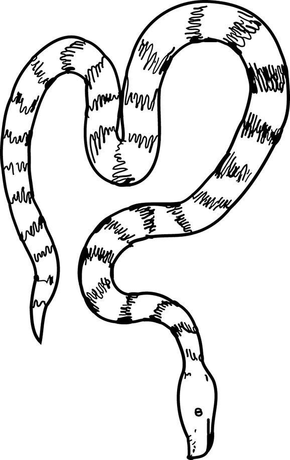 Coloriages À Imprimer : Serpent, Numéro : 256796 pour Coloriage Magique Lezard