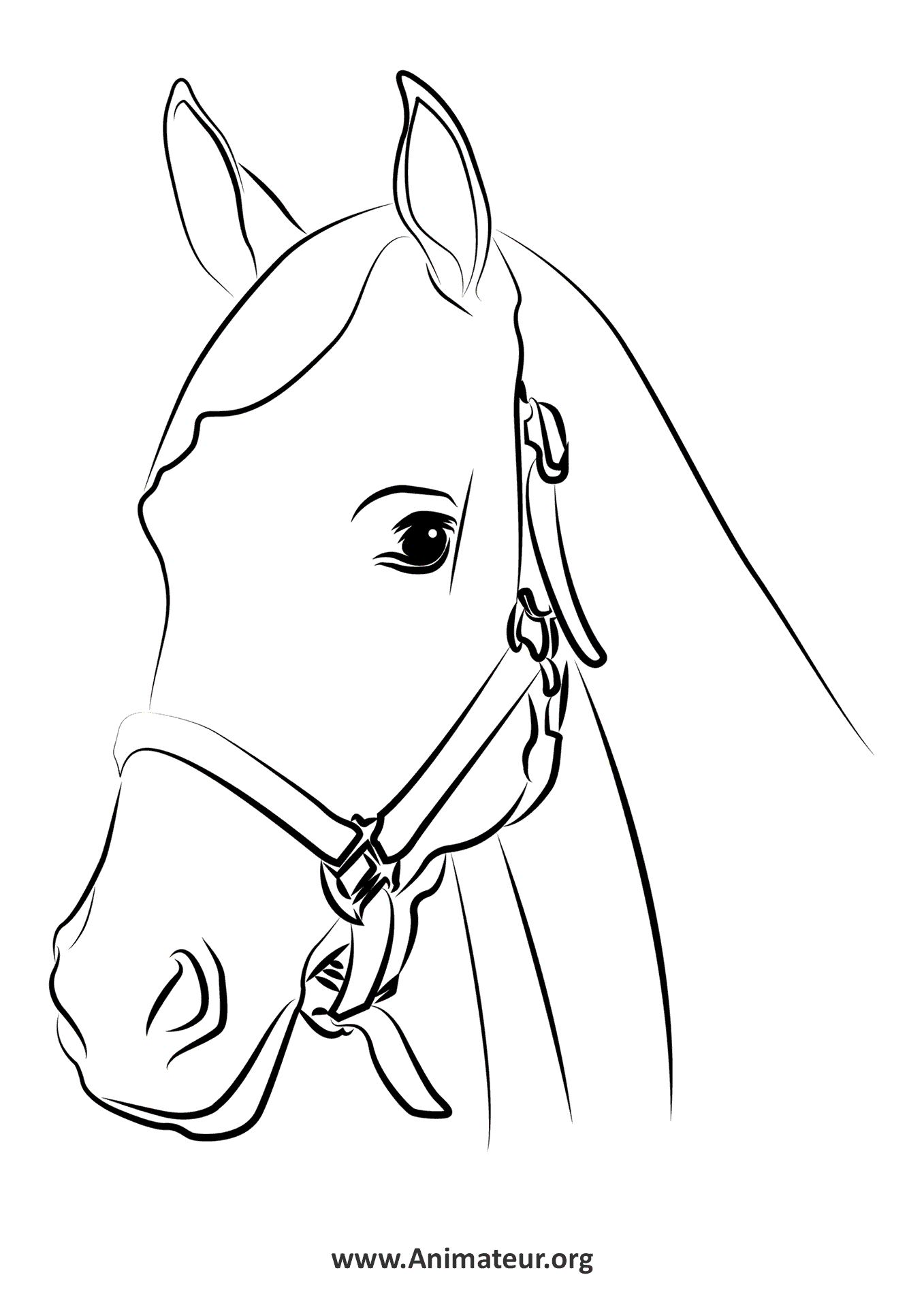 Coloriages De Chevaux intérieur Un Coloriage De