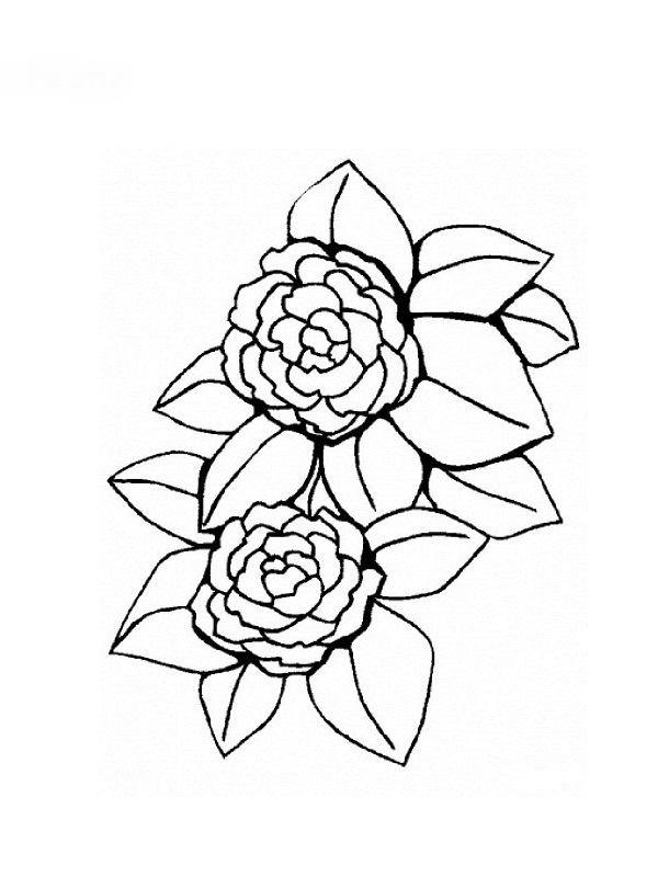 Coloriages De Fleurs encequiconcerne Coloriage Dessin Fleurs