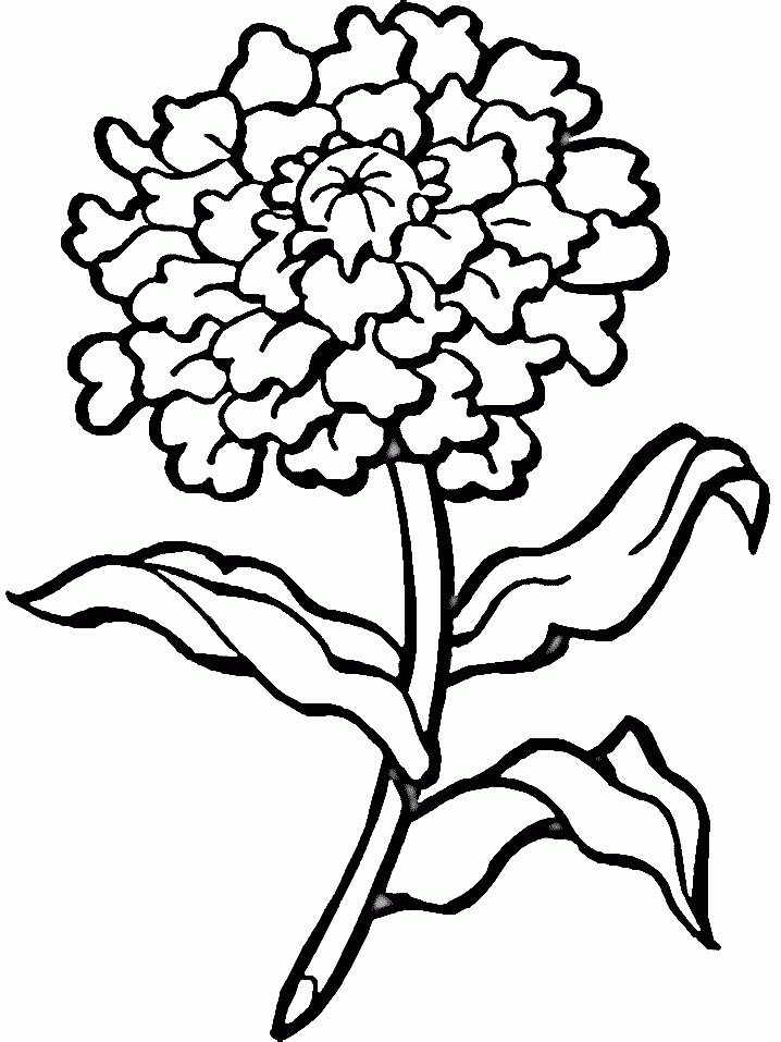 Coloriages De Fleurs intérieur Coloriage Une Fleur