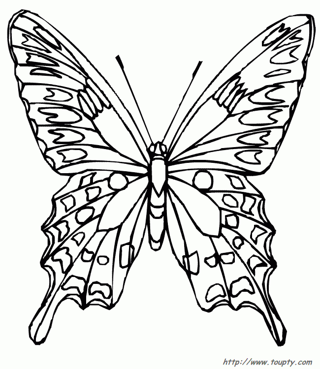 Coloriages De Papillons - Dessins De Papillons À Colorier serapportantà Coloriage Papillon