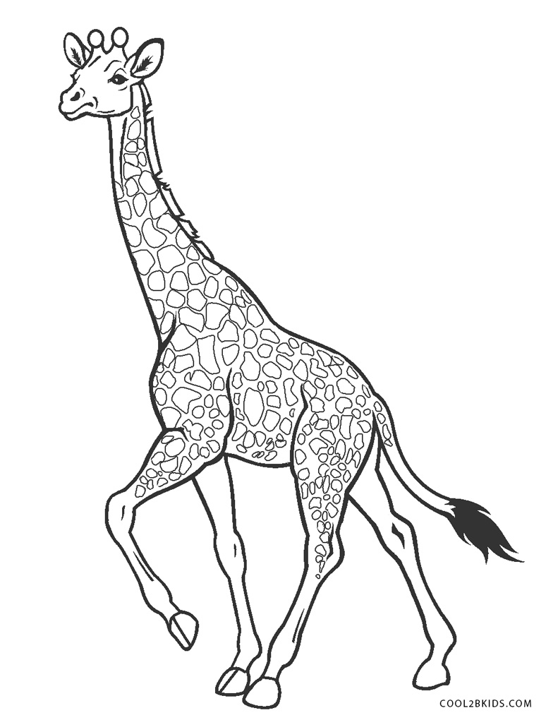 Coloriages - Girafe - Coloriages Gratuits À Imprimer encequiconcerne Coloriage Girafe