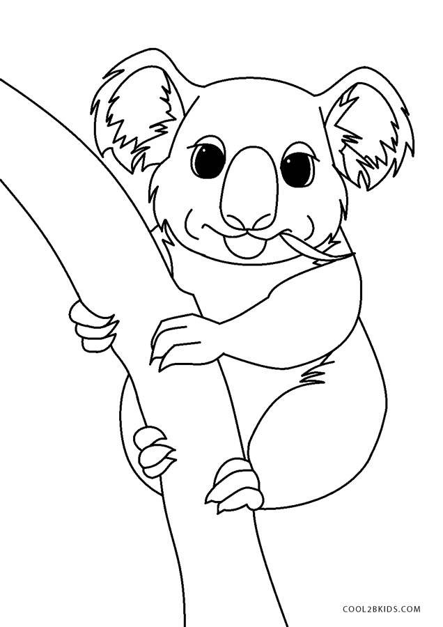 Coloriages - Koala - Coloriages Gratuits À Imprimer dedans Coloriage Koala