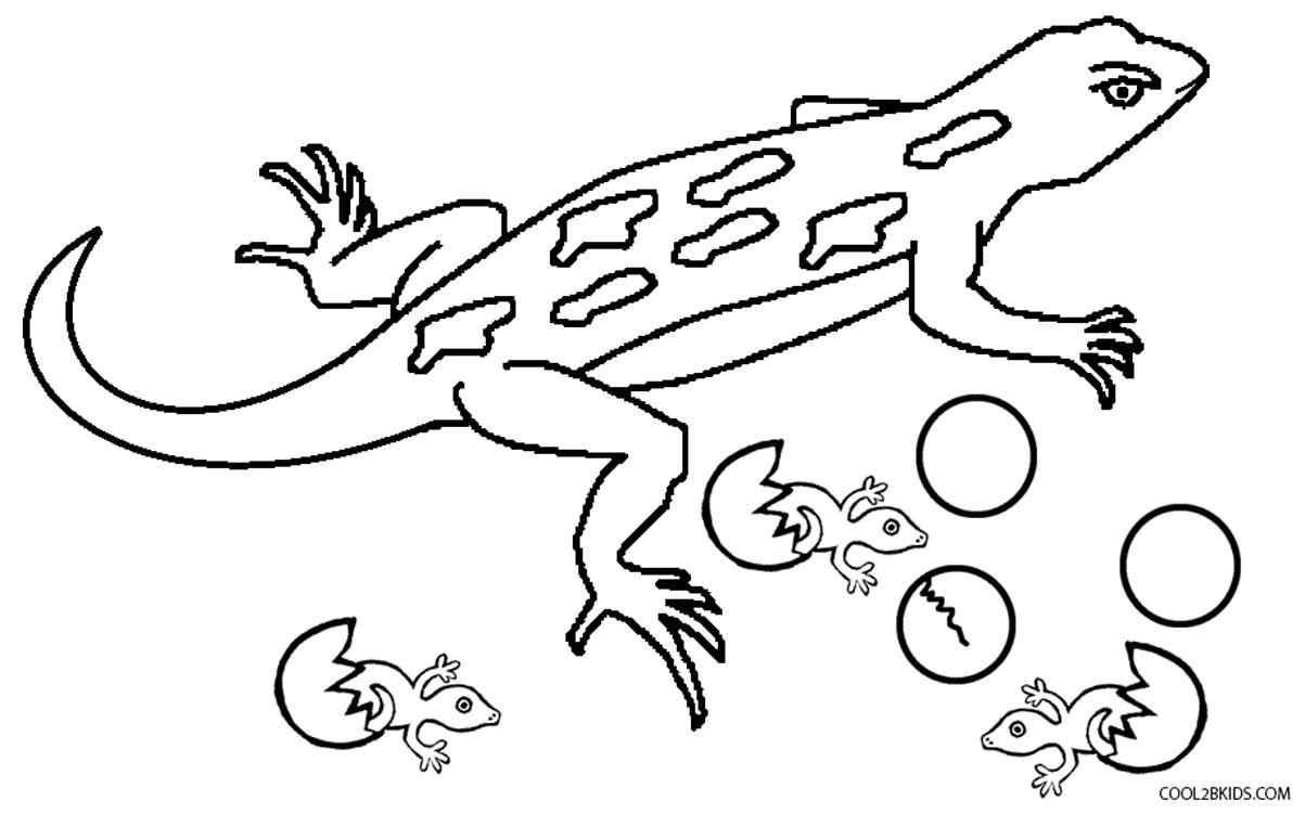 Coloriages - Lézard - Coloriages Gratuits À Imprimer intérieur Coloriage De Lézard