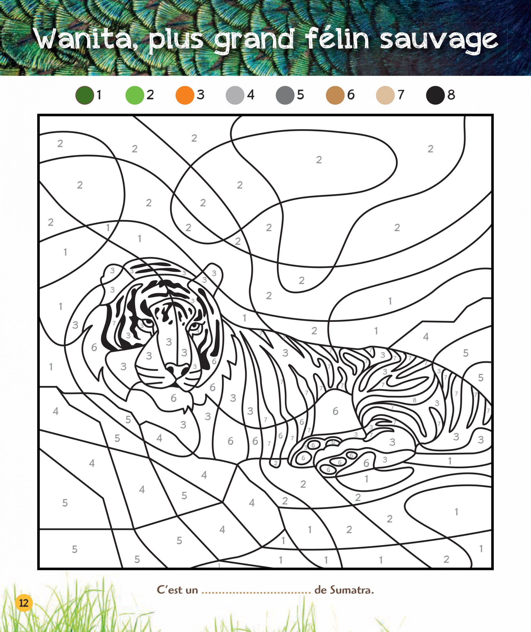 Coloriages Magiques Une Saison Au Zoo, Spécial Jungle encequiconcerne Coloriage R