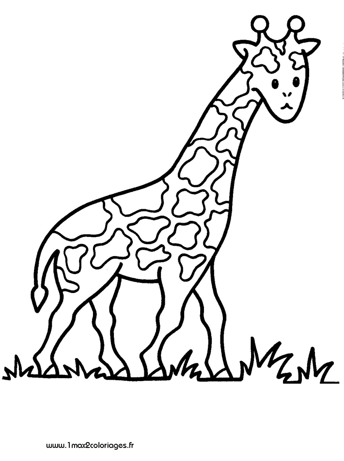 Coloriages Pour Les 3 - 4 Ans - Girafe A Imprimer serapportantà Dessin 3/4,