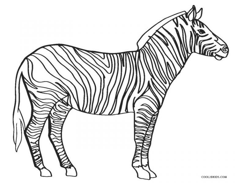 Coloriages - Zèbre - Coloriages Gratuits À Imprimer à Coloriage Zebre