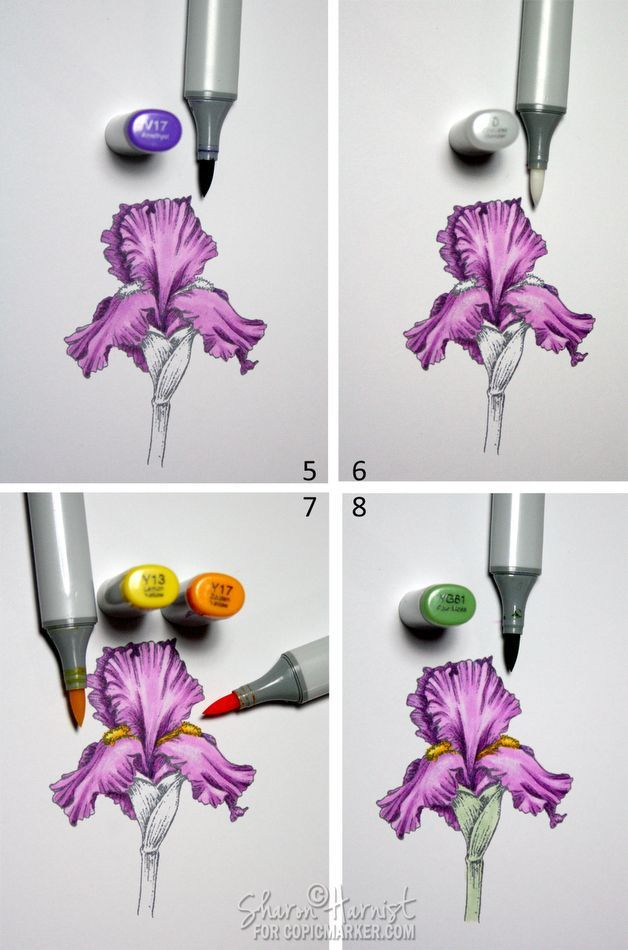 Coloring A Purple Iris | Copic Marker - U.s. &amp;amp; Canada concernant Coloriage Feutre Alcool,