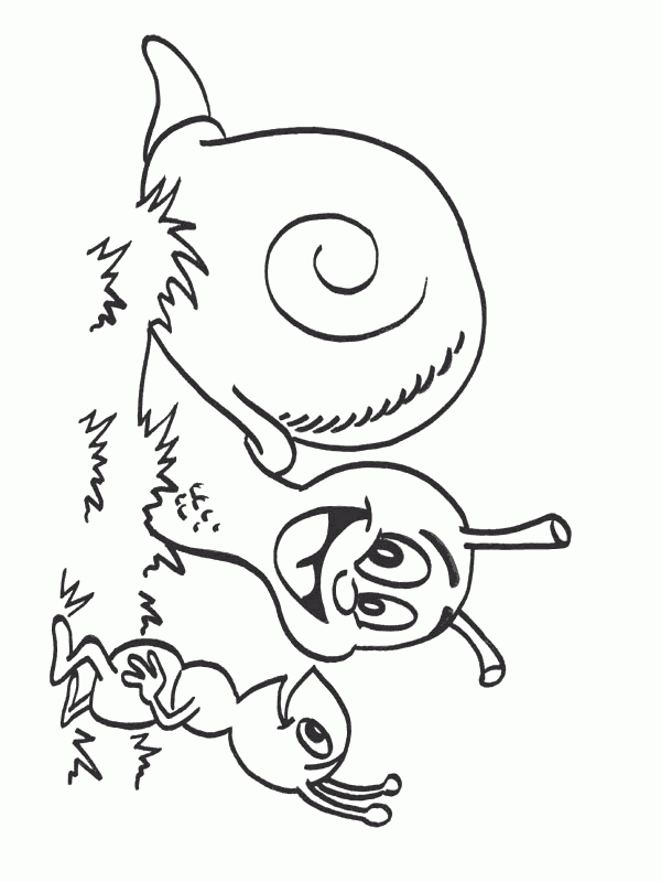 Coloring Page : Escargot - Coloring pour Escargot Dessin A Colorier