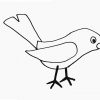 Comment Dessiner Oiseau - Les Dessins Et Coloriage à Dessin D&amp;#039;Oiseau,