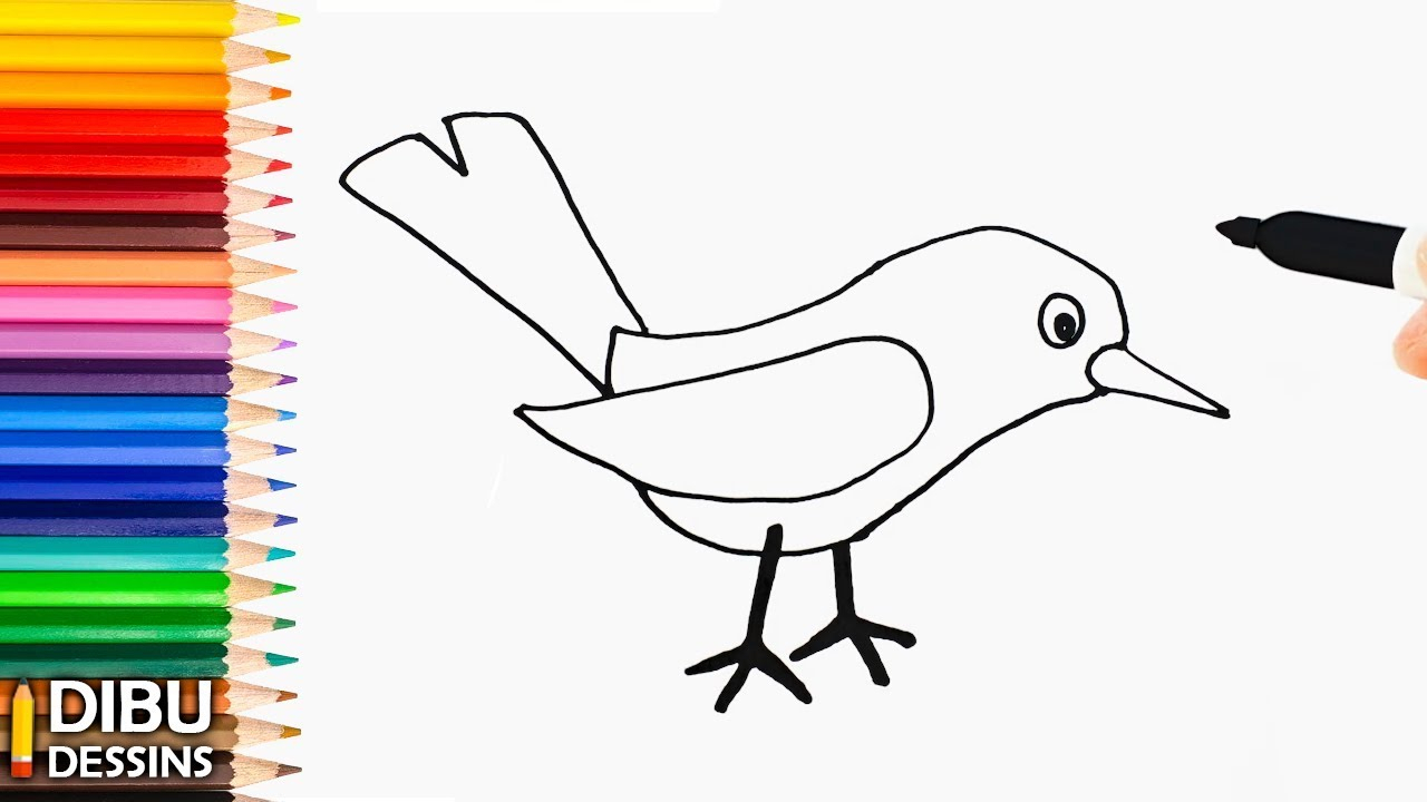 Comment Dessiner Oiseau - Les Dessins Et Coloriage à Dessin D&amp;amp;#039;Oiseau,