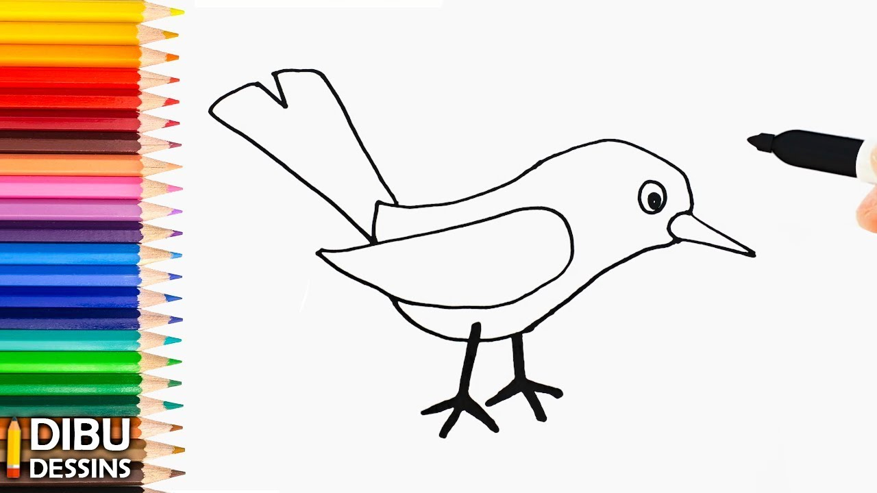 Comment Dessiner Oiseau - Les Dessins Et Coloriage à Dessin D&amp;#039;Oiseau,