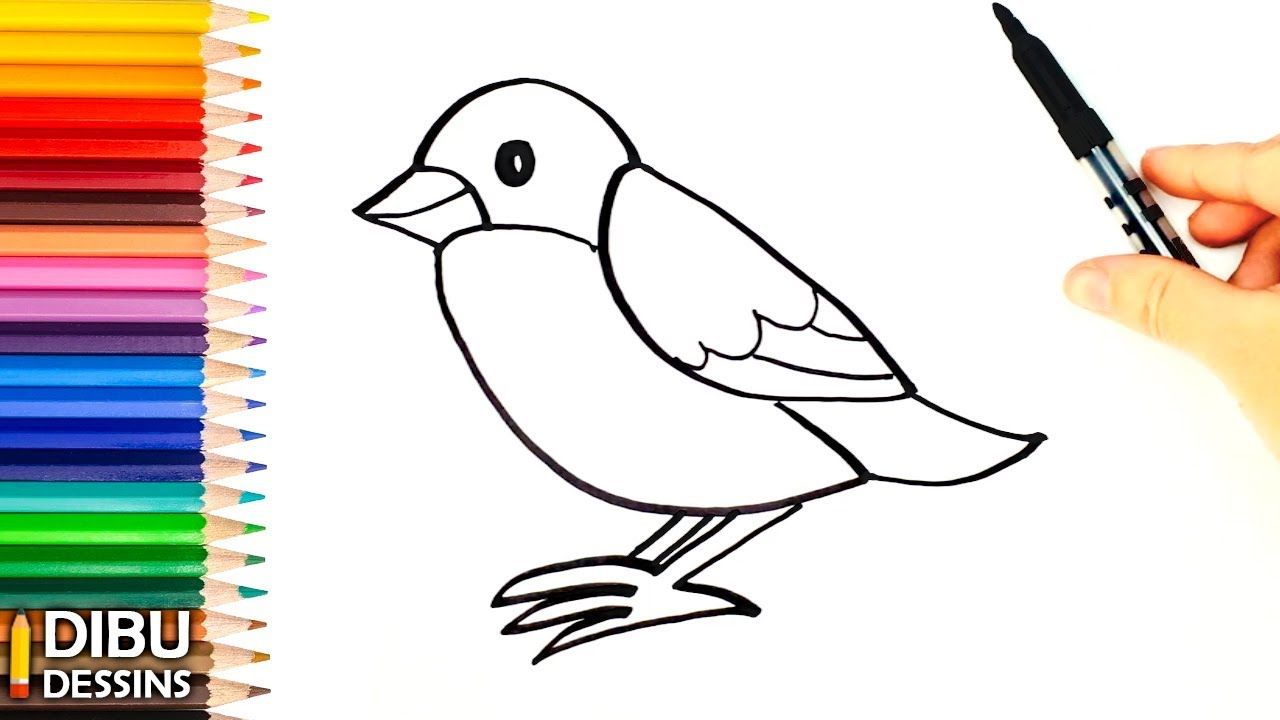 Comment Dessiner Oiseau - Les Dessins Et Coloriage encequiconcerne À Dessiner Facile,