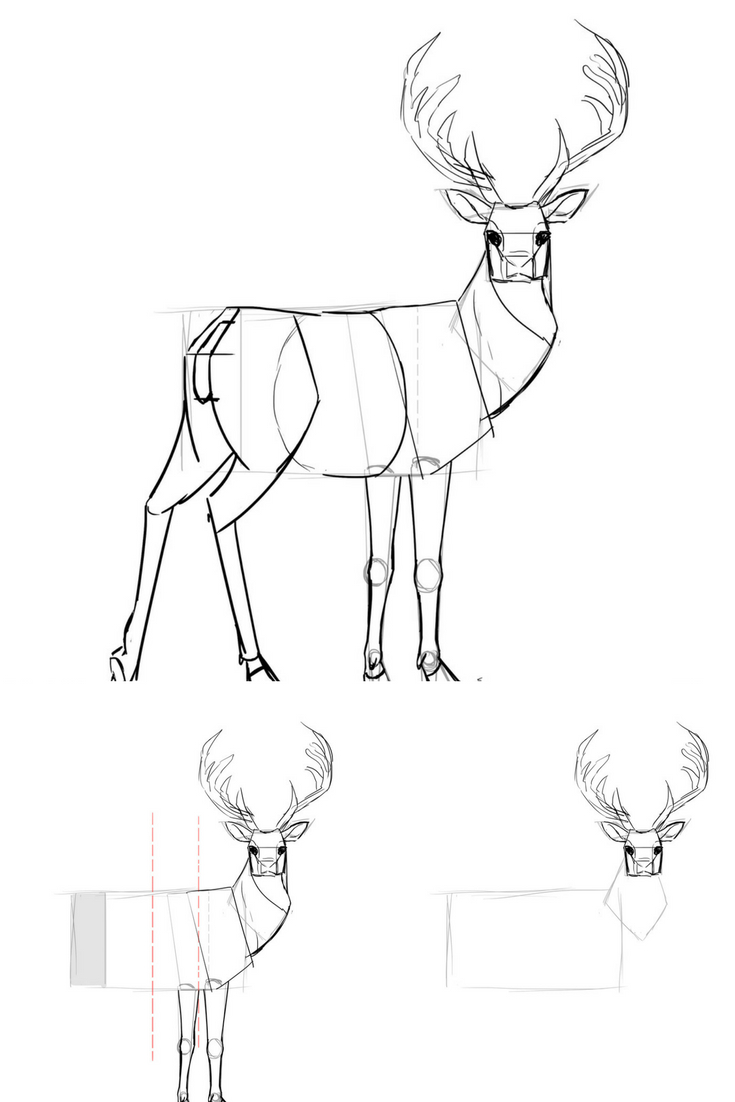 Comment Dessiner Un Cerf | Cerf Dessin, Dessin, Croquis pour Coloriage Comment Dessiner Un Lit